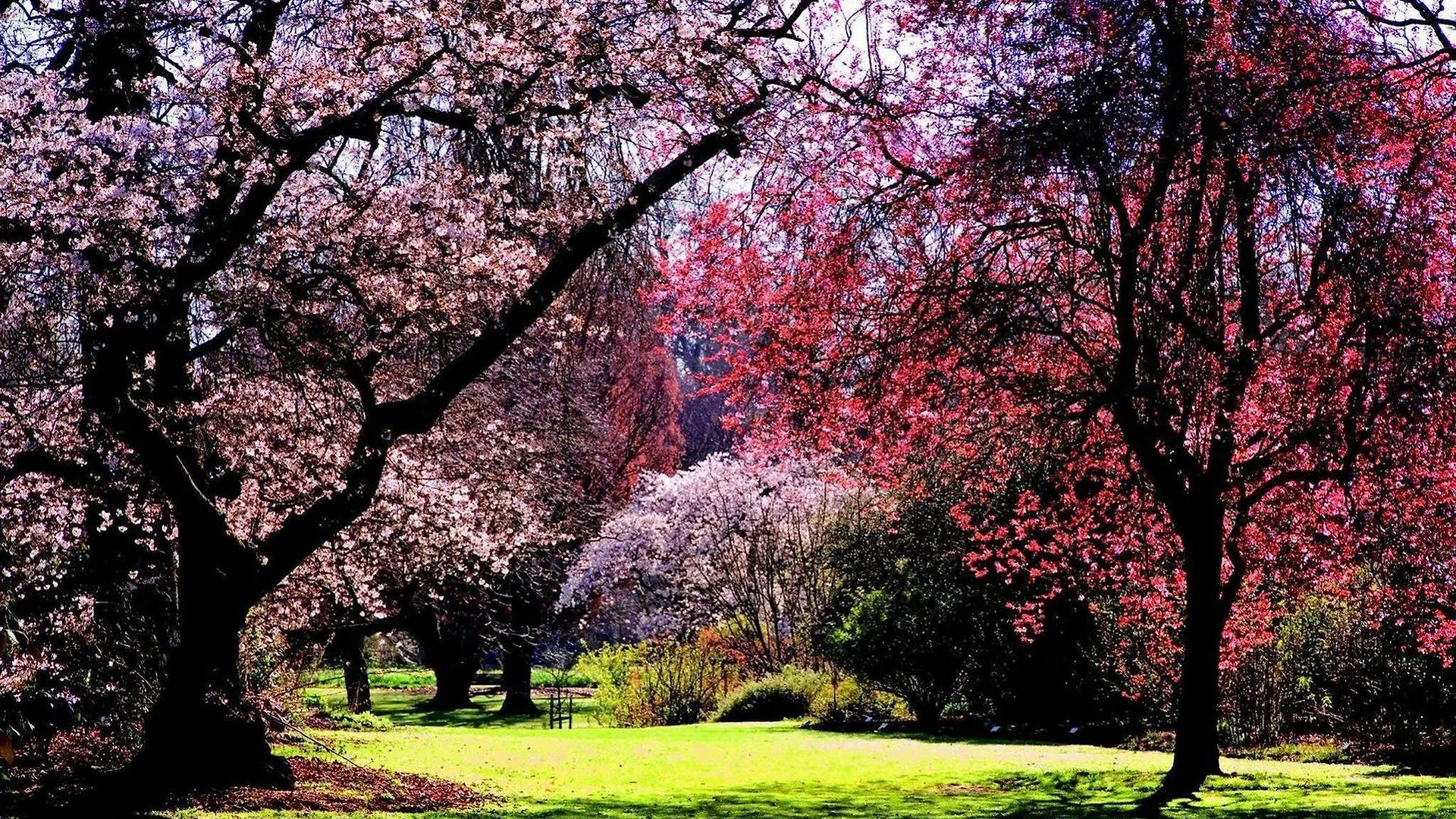 ****  Hotel Parkview en Hagley Christchurch Nueva Zelanda