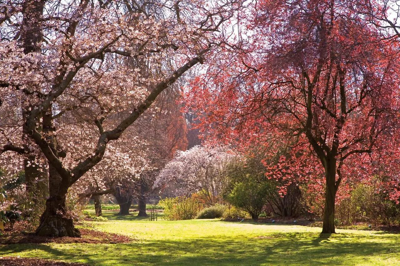 Hotel Parkview en Hagley Christchurch